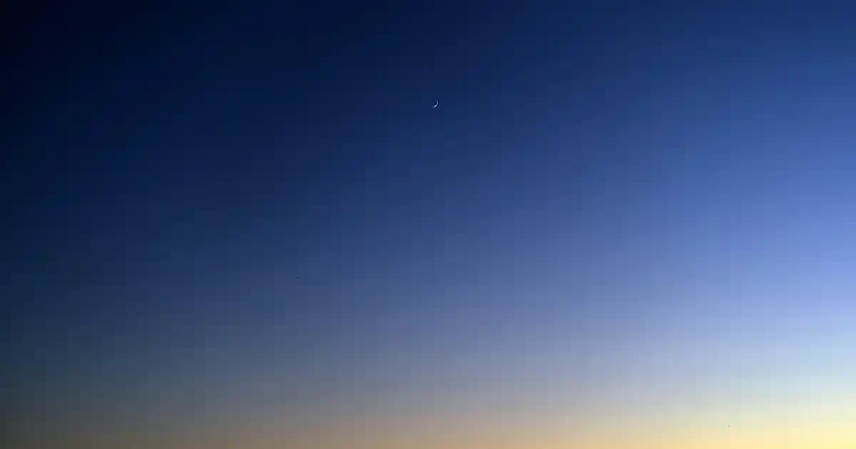 Uzaktan Kumandalı Arabalarla Modern ve Yenilikçi Dekorasyon Çözümleri