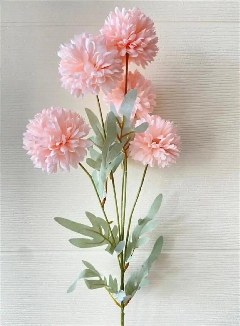 Uzun Ömürlü Çiçekler ile Dekorasyonunuzu Canlandıran ve Bakımı Kolay Bitkiler