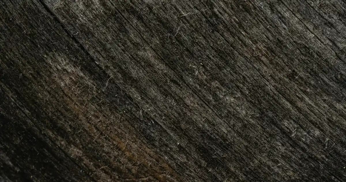 WC Terliği Seçimi ve Banyo Dekorasyonunda Konfor ile Şıklığın Buluşması