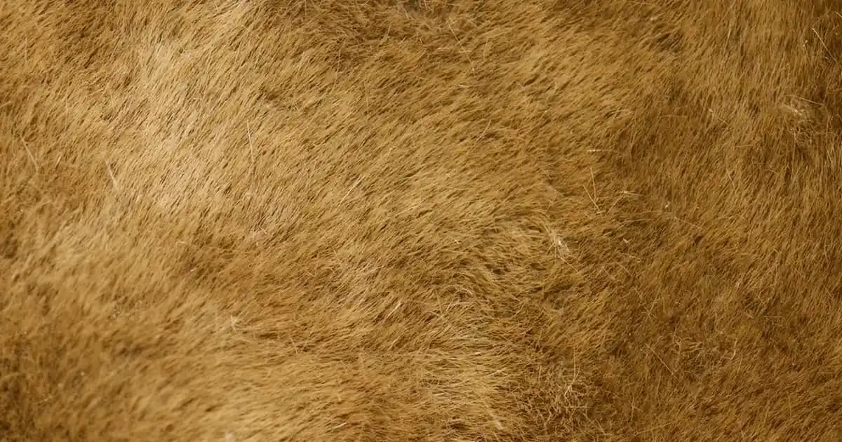 Yapay Ağaçlar ile Dekorasyon ve Mobilyada Yenilikçi Çözümler Üzerine Bir İnceleme