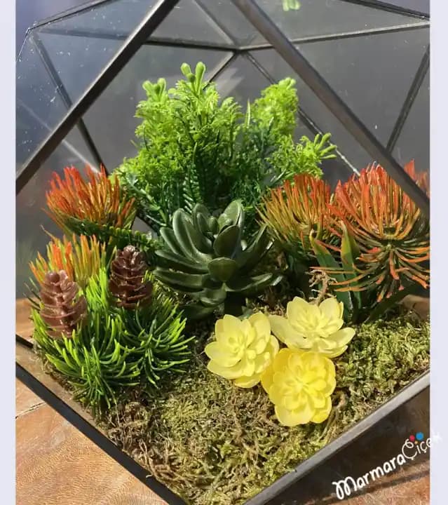 Yapay Teraryumlar: Modern ve Kalıcı İç Mekan Dekorasyonu Çözümünüz