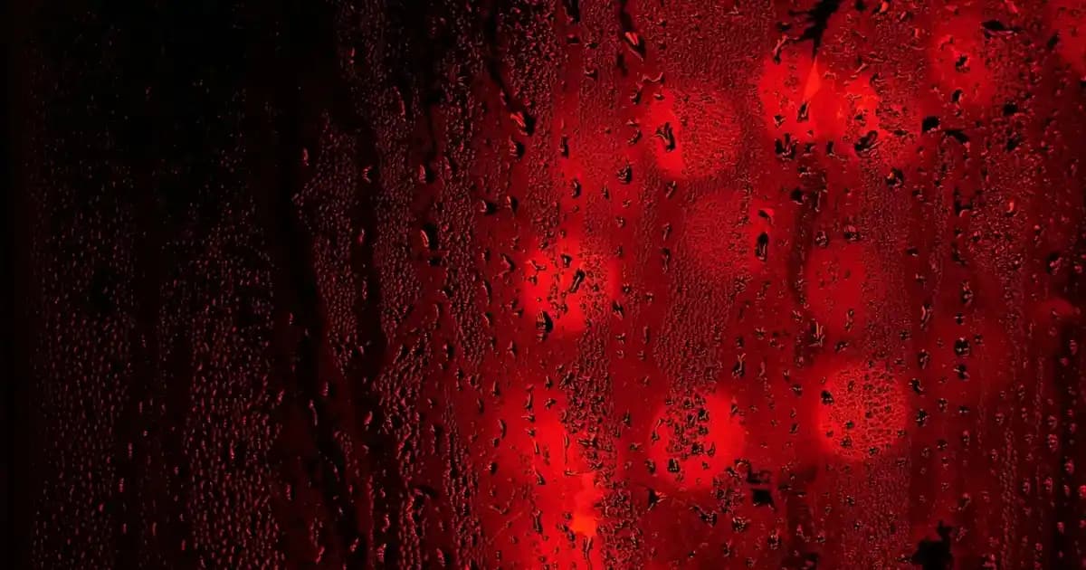 Yemek Servis Altlıklarıyla Dekorasyon ve Mobilyada Şıklık Sağlama Rehberi