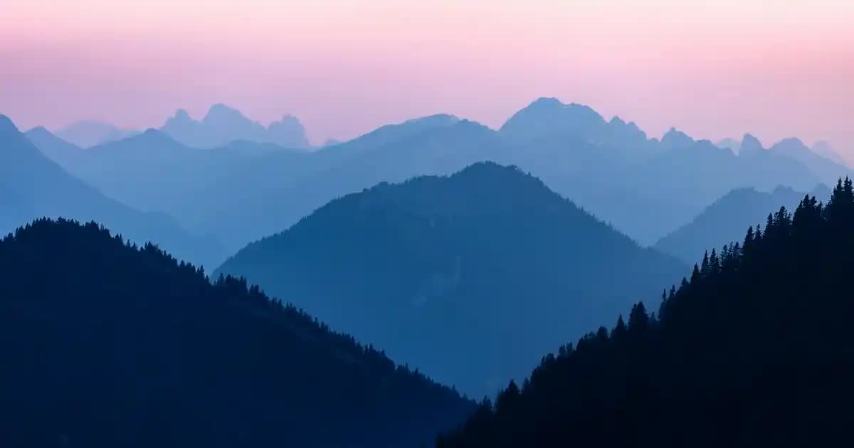 YNS Collection Kek Fanus İkram Setleri: Modern Dekorasyon ve Şık Sunumlar İçin Uygun