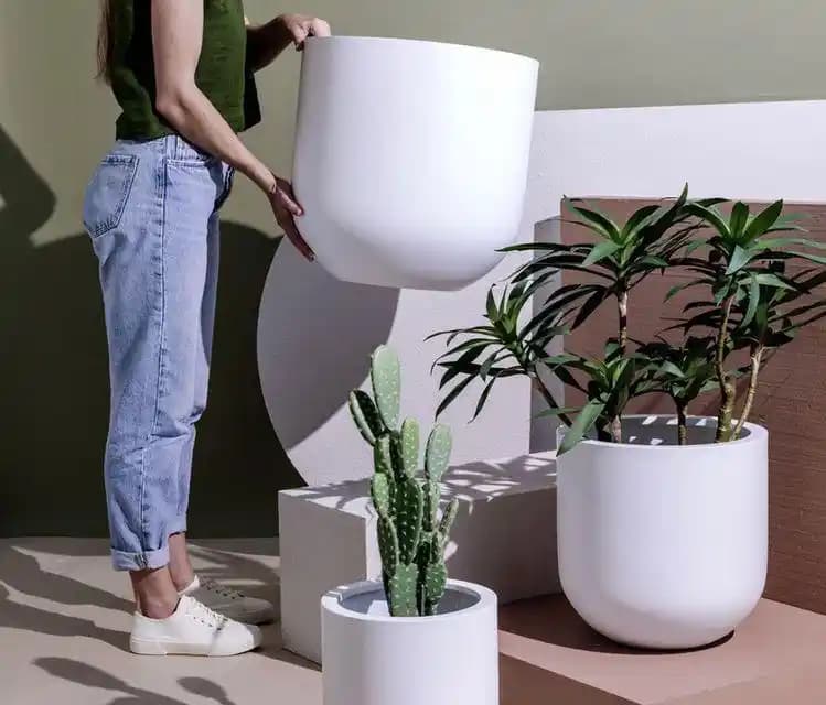 Yüksek Saksı Modelleri ile Mekânlarınıza Estetik ve Fonksiyonellik Katın