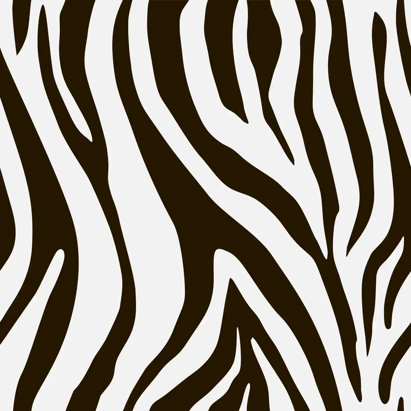 Zebra Deseninin Dekorasyonda Kullanımı ve Mekânlara Katkıları
