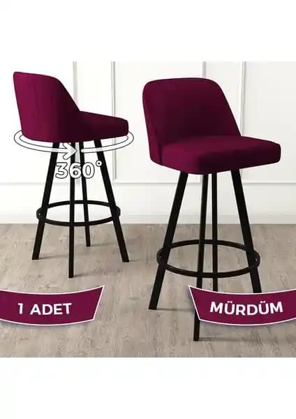 Canisa Concept Atex Serisi ve MyMassa Ada Mutfak Sandalyesi Karşılaştırması