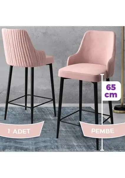 Canisa Concept Tera ve Pefa Serisi Mutfak Sandalyeleri Karşılaştırması ve Özellikleri 1
