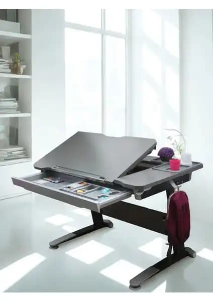Creo Mobili Çalışma Masaları Karşılaştırması: Ergonomik ve Fonksiyonel Modellerin Özellikleri 2