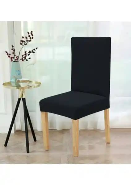 Elgeyar Balpeteği ve Özmakan Sandalye Kılıfı Karşılaştırması Ev Dekorasyonuna Uygun Seçenekler