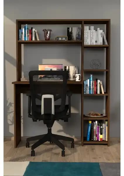 Moonlife Çalışma Masası Karşılaştırması Hipo ve Duru Modellerinin Özellikleri 2