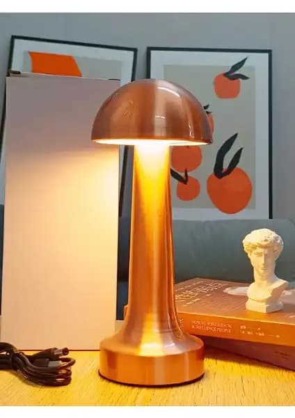 Uzm Light Cata CT-8430 ve Neo Vista Mantar Model Masa Lambası Karşılaştırması 1