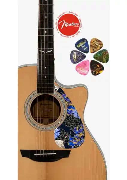 Salvador 6'lı Gitar Penası ve Koruyucu Seti Gitar Performansını Artırmaya Yönelik