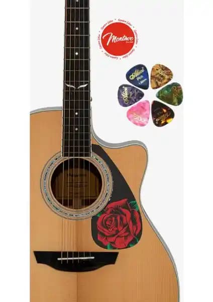 Yanıklar Müzik 6'lı Gitar Penası ve Pena Korumalığı Seti Profesyonel ve Amatör Müzisyenler İçin