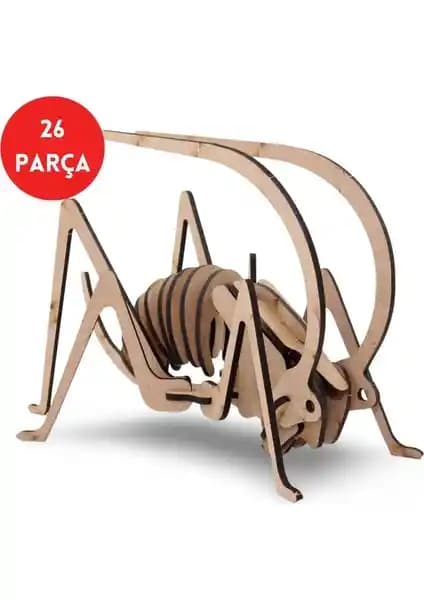 Algwood 26 Parça Ahşap Çekirge Maketi Doğa ve Biyoloji Öğrenimini Geliştirir