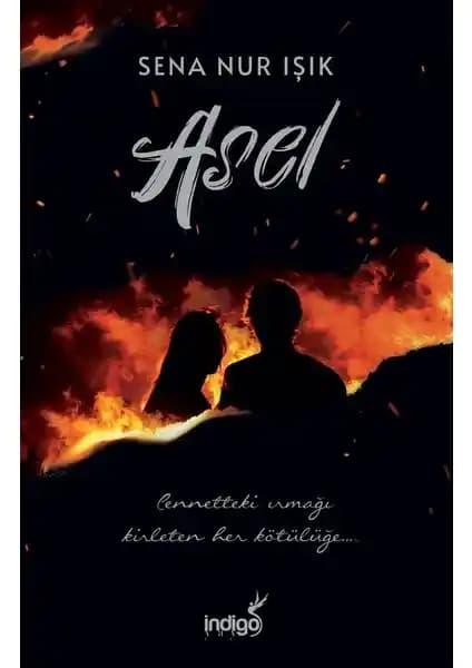 Asel Romanı: Gençlik ve İçsel Çatışma Temalarını İşleyen Türkçe Eser