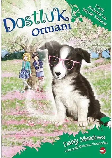 Dostluk Ormanı Hikayeleri ve Çocuklar İçin Kitap Analizi: Temalar, Görseller ve Okuma Deneyimi