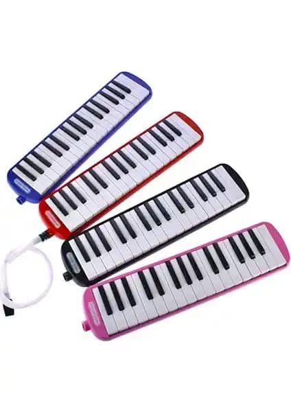 Helvacıoğlu Melodika 32K 2032 Çocuklar ve Yeni Başlayanlar İçin Dayanıklı ve Kullanışlı Enstrüman