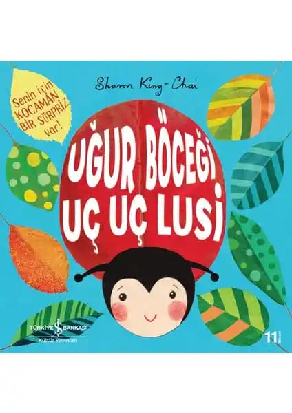 İş Bankası Kültür Yayınları Uğur Böceği Uç Uç Lusi Çocuk Hikayesi ve Öğretici İçerik
