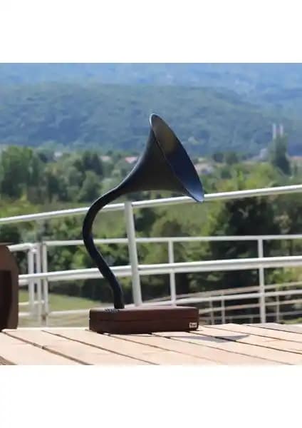 Vune Concept Deju Siyah Akustik Gramofon Modern Tasarım ve Üstün Ses Kalitesiyle