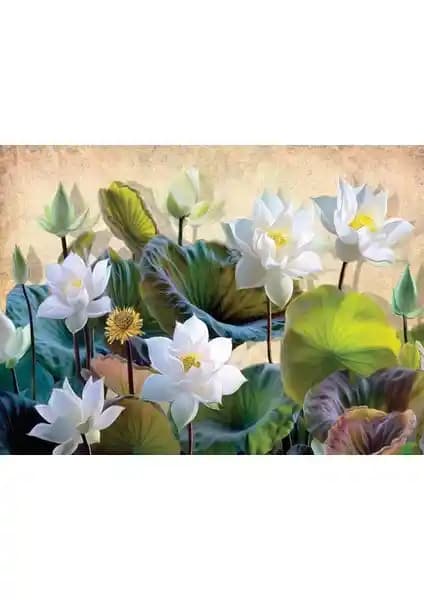 Nova Puzzle 1000 Parça Beyaz Nilüfer Çiçekleri Puzzle Doğa ve Estetik Temalı Ürün