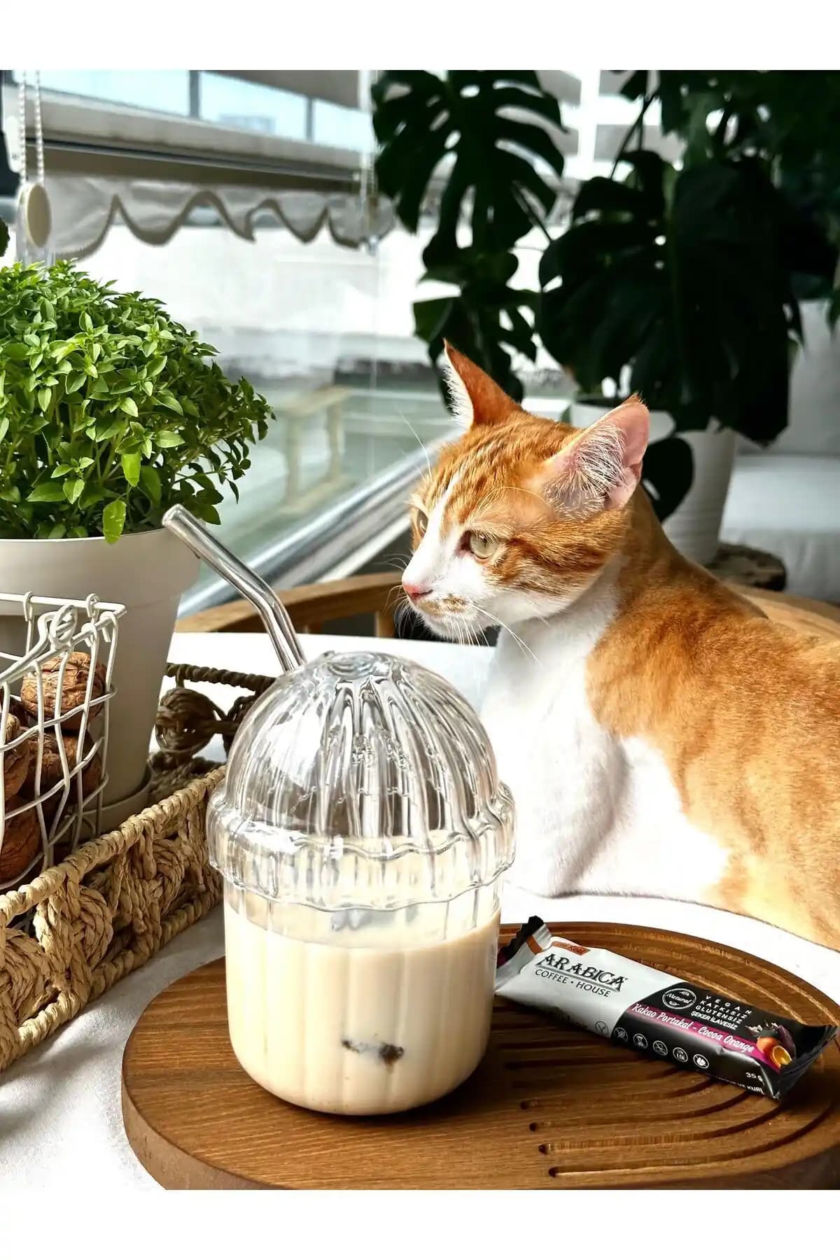 430 ml Kapasiteli MİMOZA PARK Cam Bardak Seti: Turuncu, Oval Kapaklı, BPA İçermeyen