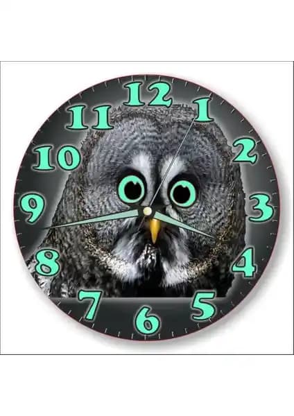 M3 Decorium Büyük Dev 35 cm Baykuşlu Fosforlu Bombe Camlı Sessiz Duvar Saati