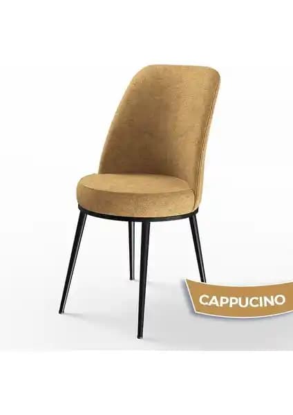 Canisa Concept Dexa ve Pefa Serisi Mutfak Sandalyeleri Detaylı Karşılaştırması