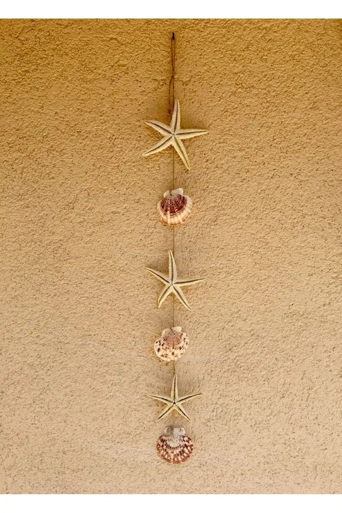 Özde Dekor Gerçek Deniz Yıldızı ve İstiridye (6 Objeli) Doğal Duvar & Balkon Süsü