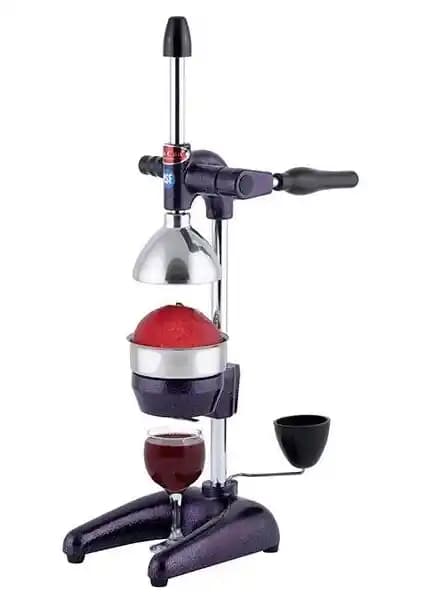 Profesyonel Nar Tipi Pres ile Meyve Sıkımında Yenilik ve Verimlilik Sağlayan Ürün