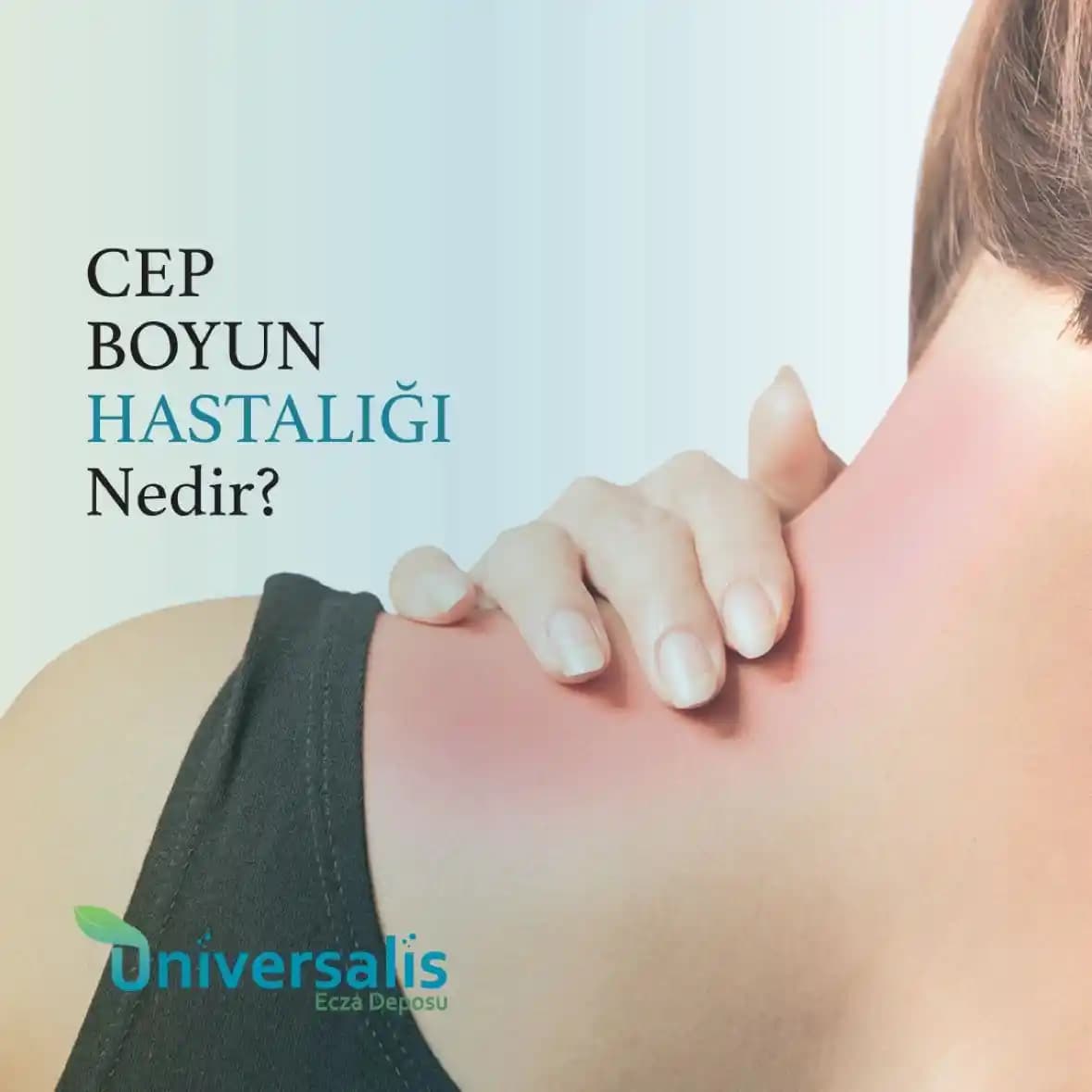 Evinizdeki Bayat ve Küflü Kokuları Gidermenin Etkili Yöntemleri ve İpuçları