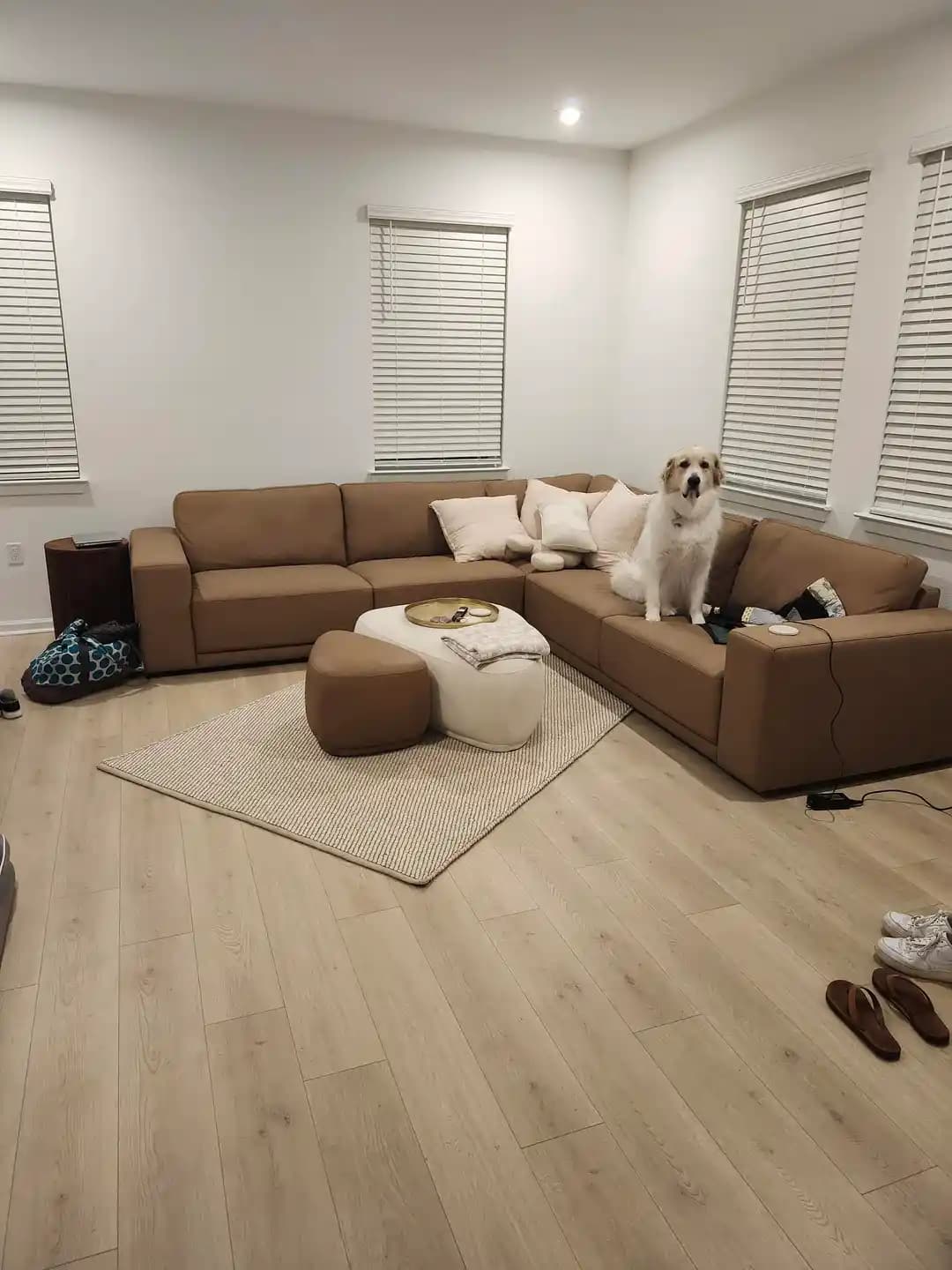 Oturma Odasında Halı Seçimi ve Yerleşimi: Doğru Boyut, Renk ve Düzenleme Yöntemleri