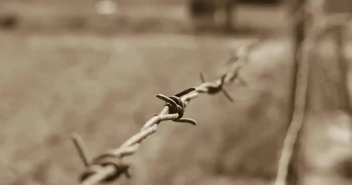 3'lü ayna modelleri ile modern ve şık dekorasyon çözümleri