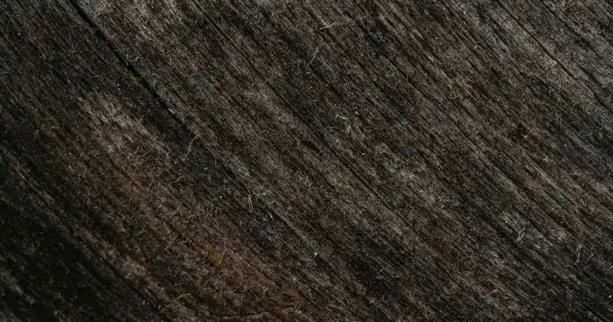 Balkon Masa Modelleri ve Fiyatları: Dekorasyon İçin En İyi Seçenekler ve İpuçları