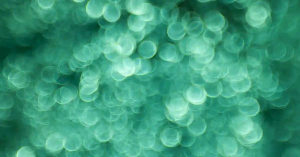 Biev Abajur Koleksiyonlarıyla Evinize Şıklık ve Fonksiyonellik Katın