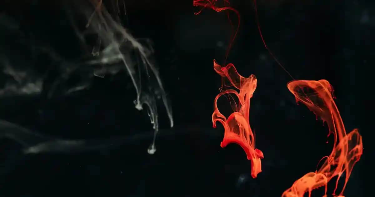 Dekorasyonun Şıklığını Tamamlayan Modern ve Klasik Ayna Modelleri Rehberi