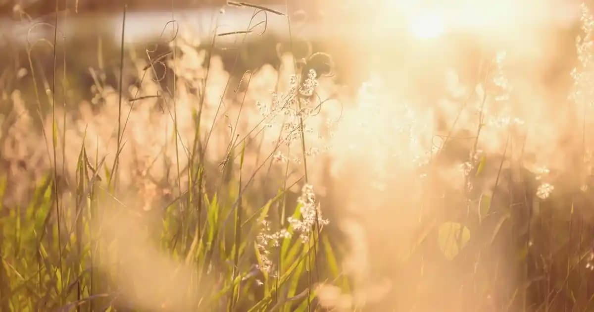 Pilli Duvar Lambası Seçenekleri ve Modern Dekorasyon İpuçları