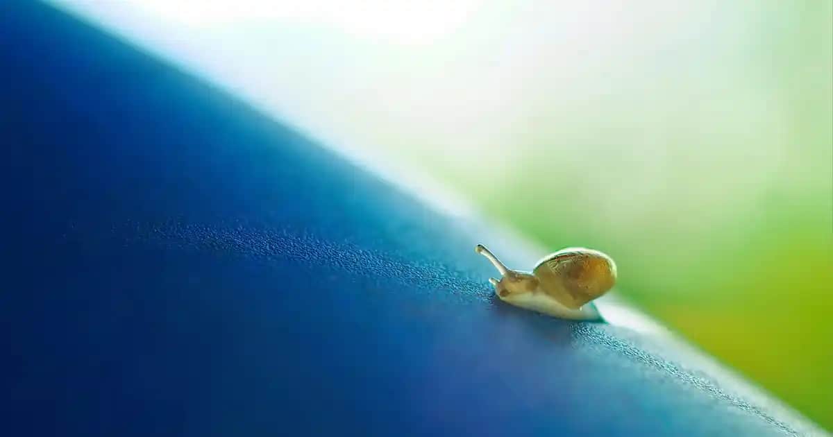 Tek Kişilik Yatak Seçiminde Dekorasyon Trendleri ve Modern Modeller