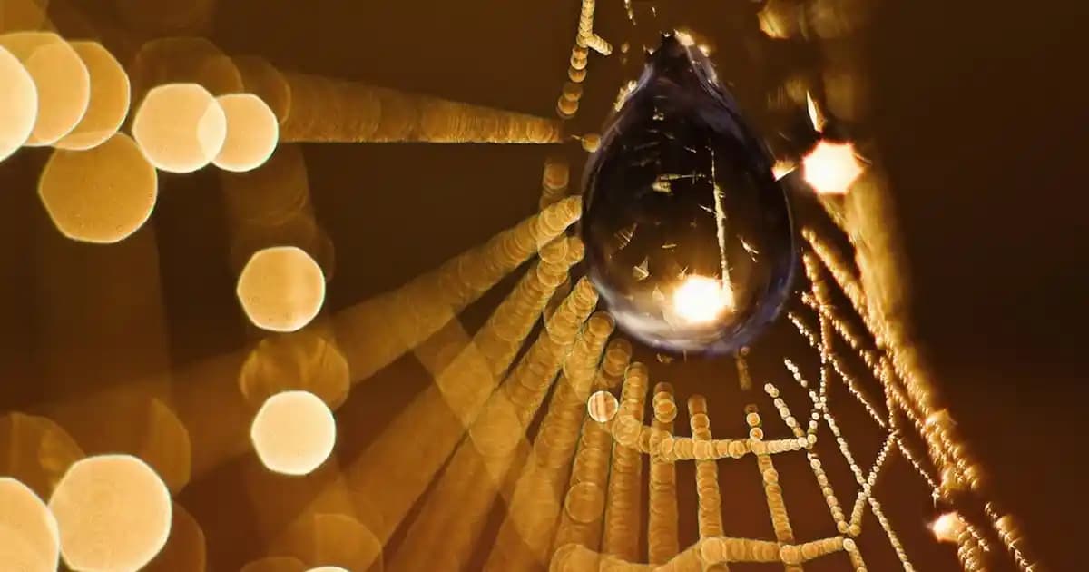 Vesikalık Fotoğraf Ücretleri ve Dekoratif Detaylar: Modern ve Ekonomik Çözümler