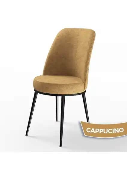 Canisa Concept DEXA Serisi Modern ve Dayanıklı Mutfak Sandalyesi Tasarımı ve Özellikleri