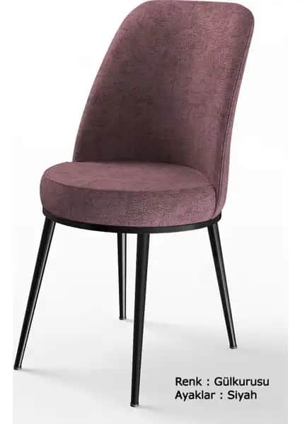 Canisa Concept Dexa Serisi Sandalye: Şık ve Dayanıklı Modern Mutfak Sandalyeleri