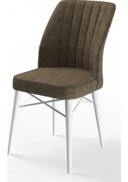 Canisa Concept Flex Serisi Gürgen Ayaklı Modern Sandalye Seti 4 Adet Şık ve Dayanıklı Tasarım