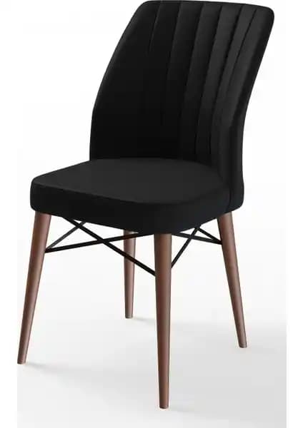 Canisa Concept Flex Serisi Gürgen Ayaklı Sandalye Modern Tasarım ve Dayanıklılık Özellikleri