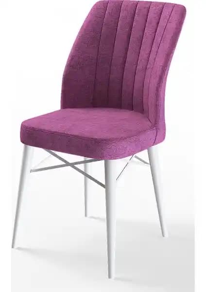 Canisa Concept Flex Serisi Gürgen Ayaklı Sandalyeler Modern ve Dayanıklı Oturma Çözümü