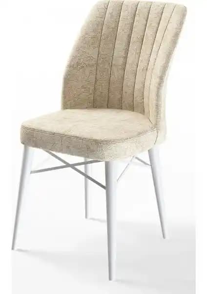 Canisa Flex Serisi Gürgen Ayaklı Sandalye Modern Tasarım ve Dayanıklılık Sunar