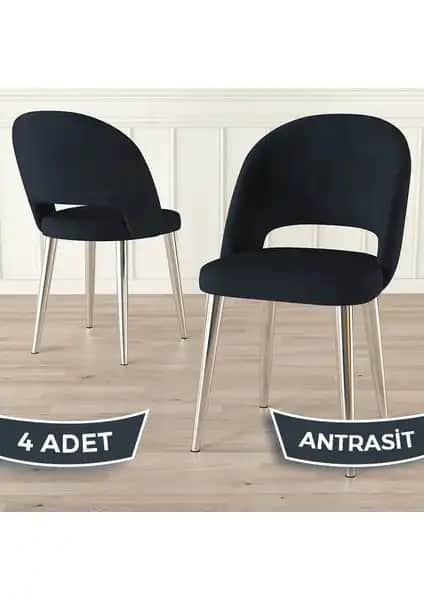 Canisa Pane Serisi Modern ve Dayanıklı Mutfak Sandalyeleri Ürün Tanıtımı ve Özellikleri