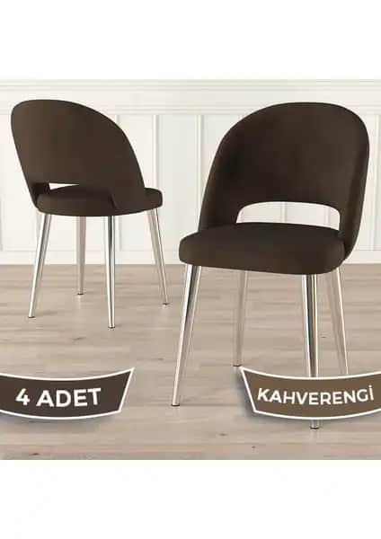 Canisa Pane Serisi Mutfak Sandalyesi 4'lü Set Modern Tasarım ve Dayanıklılık