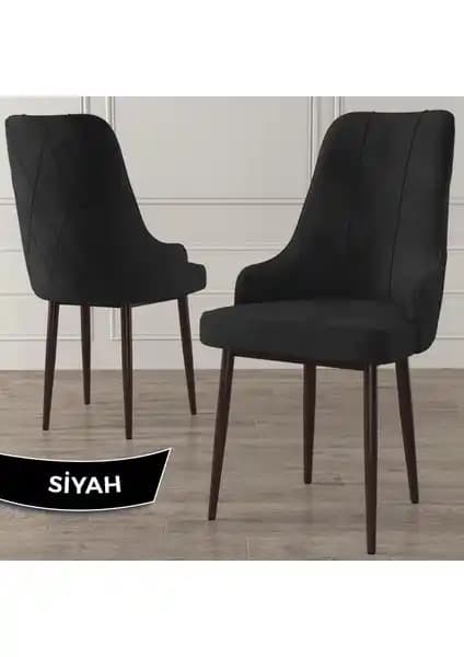 Canisa Trex Serisi Modern ve Dayanıklı Oturma Çözümü Yüksek Kalite ve Renk Seçenekleriyle