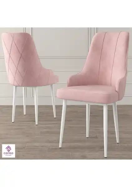 Canisa Trex Serisi Modern ve Dayanıklı Tasarım Sandalye Özellikleri ve Kullanıcı Yorumları