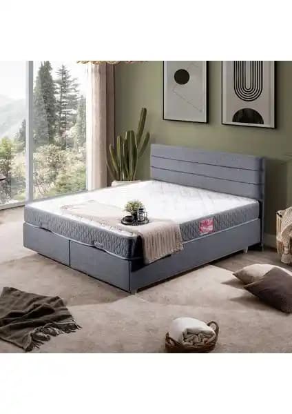 Setay Sofia İkili Çift Kişilik Baza ve Başlık Seti Modern Tasarım ve Dayanıklılık Özellikleri