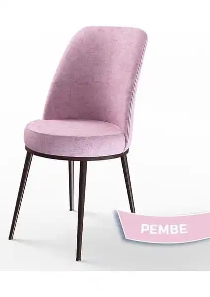 Canisa Dexa Serisi ve Lumodi Elma Keten Mutfak Sandalyeleri Karşılaştırması